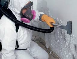 Best Commercial Mold Inspection  in Caldwell, OH